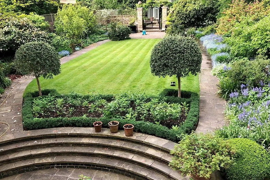 A formal town garden with a striped lawn, clipped trees and curved stone steps